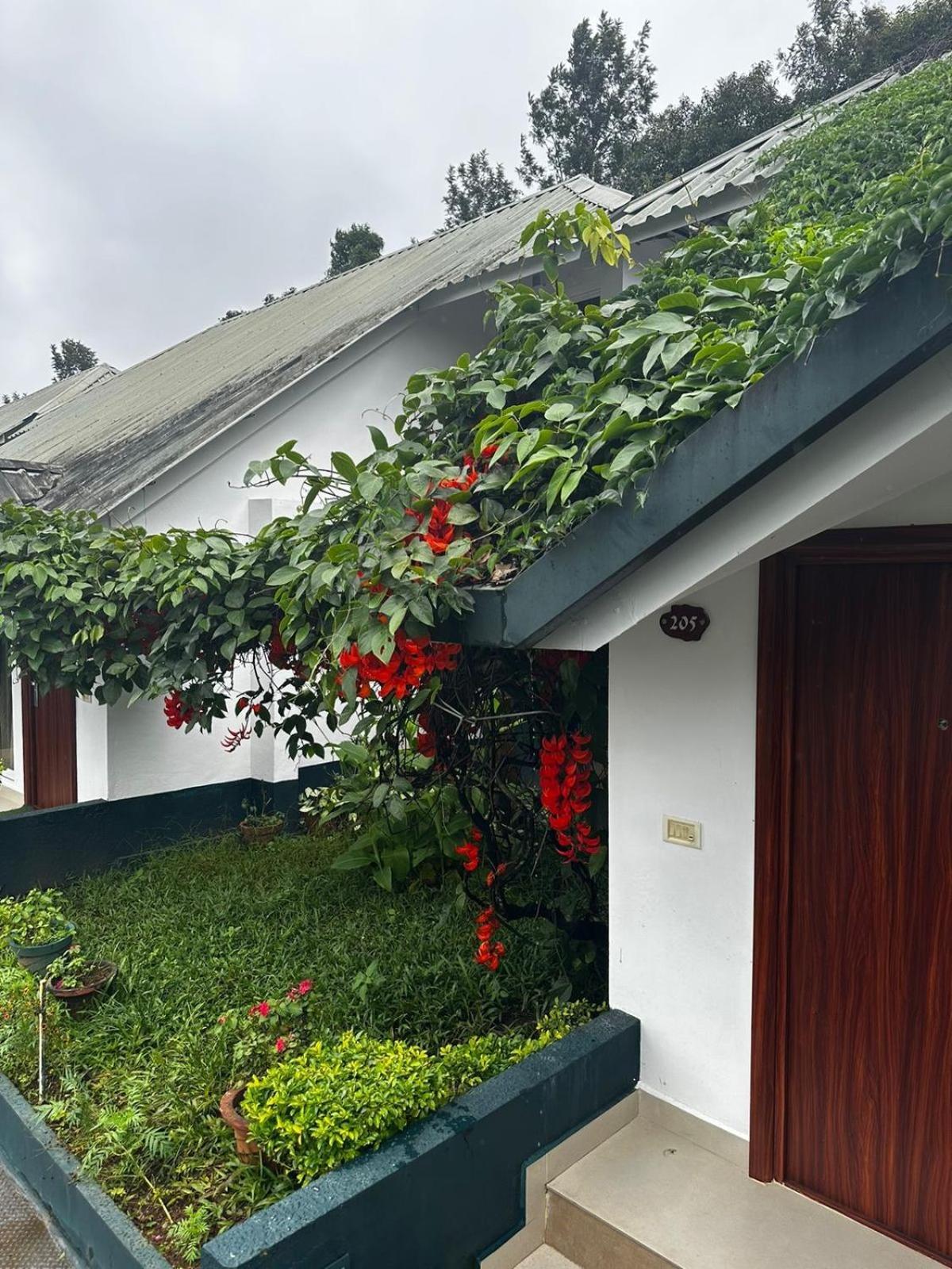 Munnar Tea Hills Resort - Mthr Екстер'єр фото
